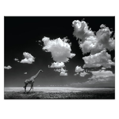 Photographers Lane - Wrapped Canvas Print