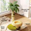 Arbre à chat coco pour chats d'intérieur, fond épais