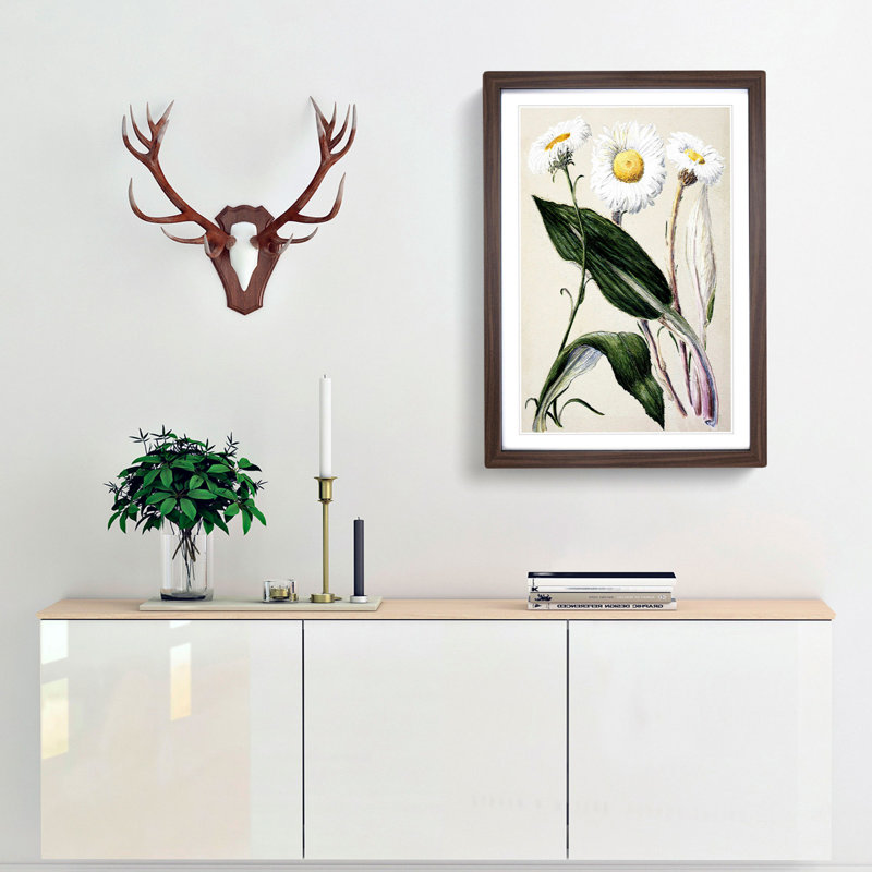 Mountain Daisies by Sarah Featon - Picture Frame Painting Print, Walnut Framed, 48cm H x 36cm W x 2cm D