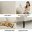 3 Seater Sofa Bed-2063825960-2063825962
