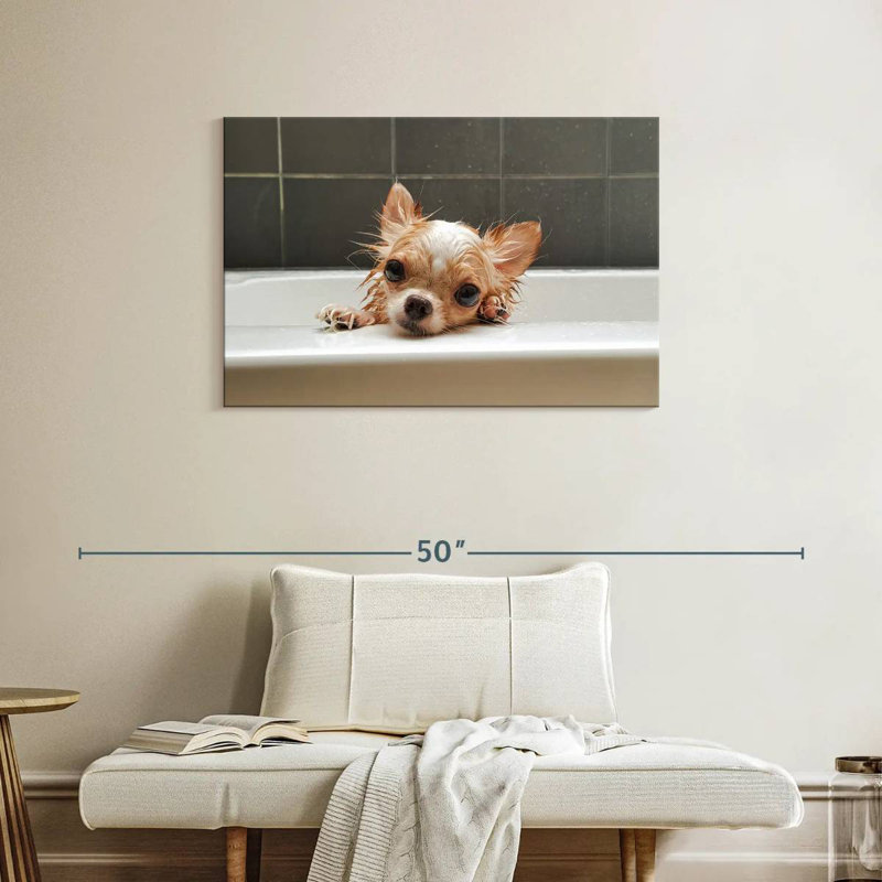 Brampt Chihuahua Bathing, H 24 po x l 36 po