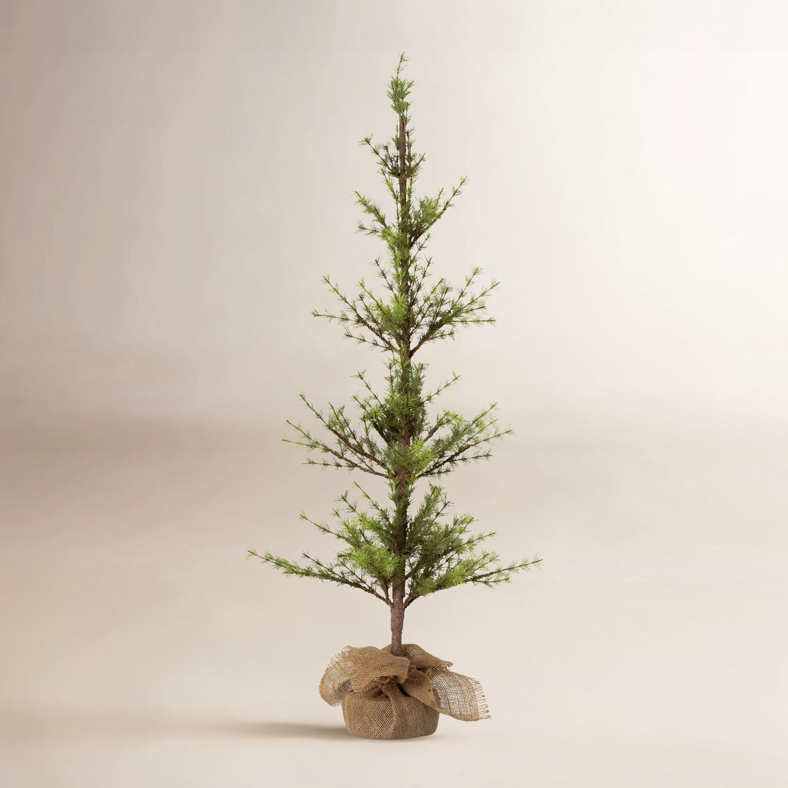 Schary Faux Pine Tree in Wicker/Rattan Pot, 4.1" H x 19.5" W x 19.5" D