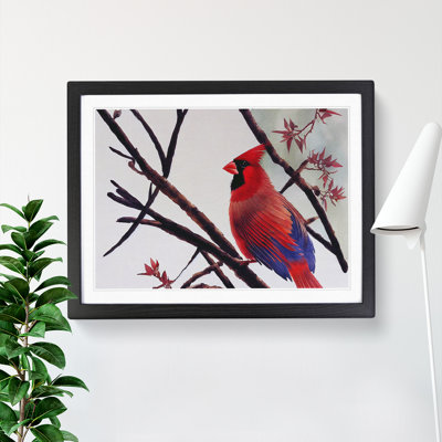 Watercolour Cardinal Bird Vol.4 - Framed Print