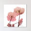 Golden Blush 2 - Wrapped Canvas Print-686379122