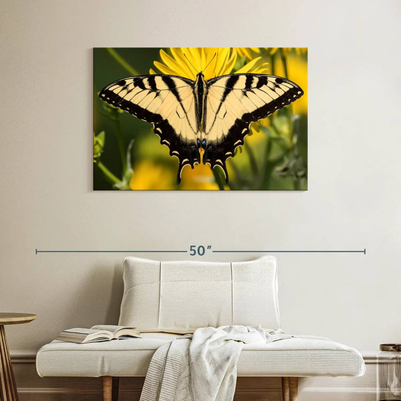 Perched Swallowtail Butterfly, 26" H x 39" W