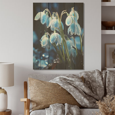 Hiver, photographie de fleurs en forme de gouttes de neige sur bois de pin naturel