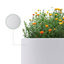 Pot à fleurs en béton Khody-1789050085
