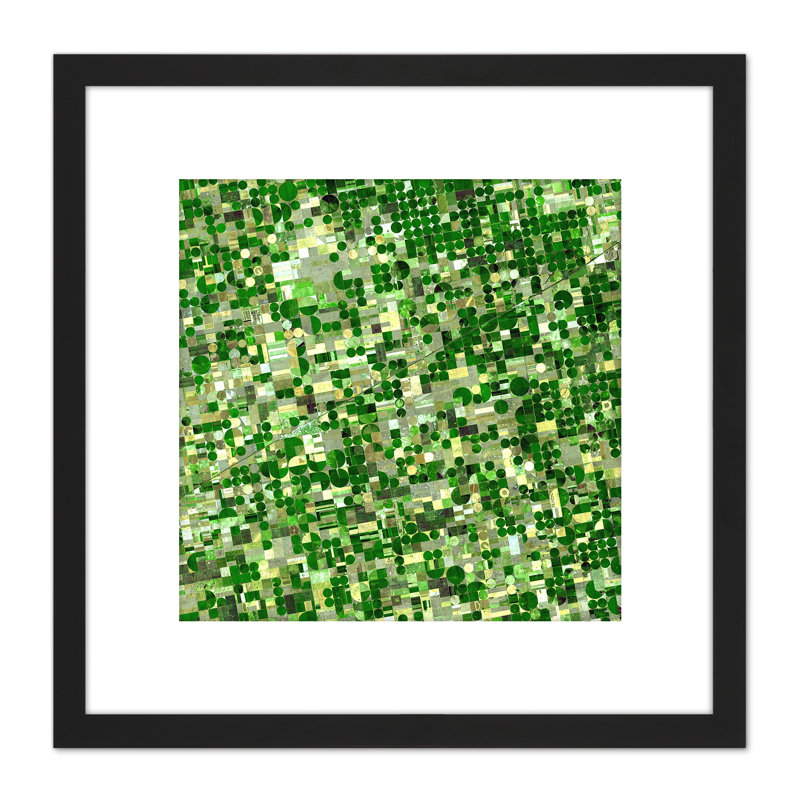 Crops Kansas Satellite Image Photograph - Single Picture Frame Print