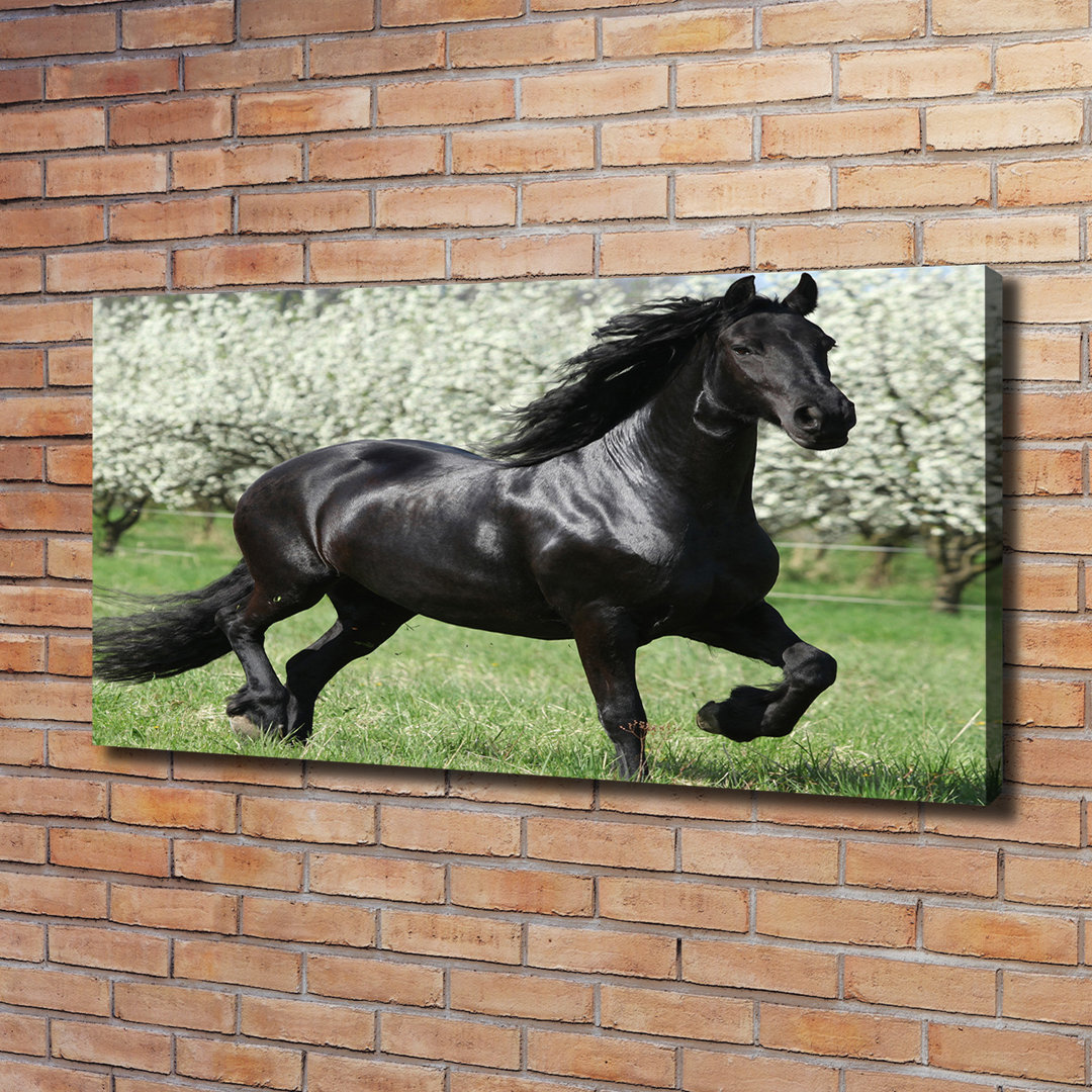 Black Horse Flowers - Kunstdrucke auf Leinwand