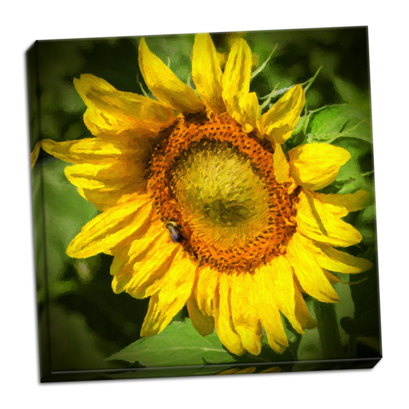 « tournesol ii », reproduction de photo, H 24 po x l 24 po x P 0,75 po, Toile tendue