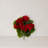 Geranium Bush Silk Plant-24745582