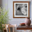 Renoncule foncé II - cadre photo-56949604-56949611-56897106
