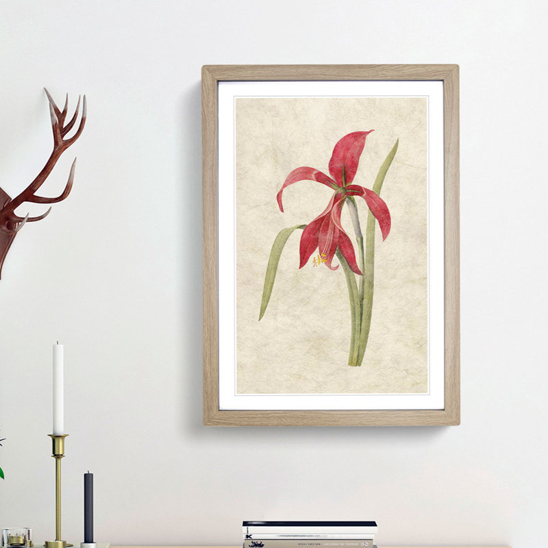 Amaryllis Flower by Pierre-Joseph Redoute - Single Picture Frame Painting, Oak Framed, 63cm H x 45cm W x 2cm D