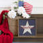 Bleu America Star-122933468