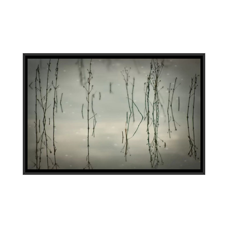 « anches est élevé », reproduction de photo sur toile, H 8 po x l 18 po x P 26 po, Toile avec cadre noir, Pas de tapis