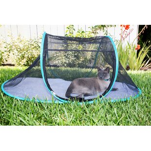 Cat Activity Center - Foldable Play Area for Cats and Kittens with Soft  Fleece Mat and Hanging Toys for Exercise or Napping by PETMAKER (Zebra  Print)