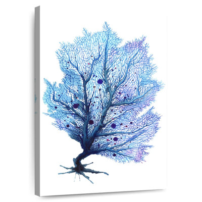 Brampt Fan Coral Blue