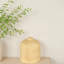 Raw Umber Vase, Stem-2141162772