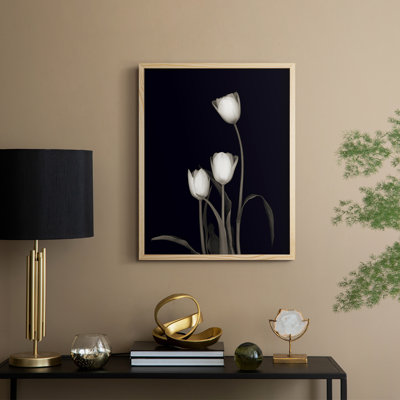 Tulip Pose III Framed Print - Solid Wood