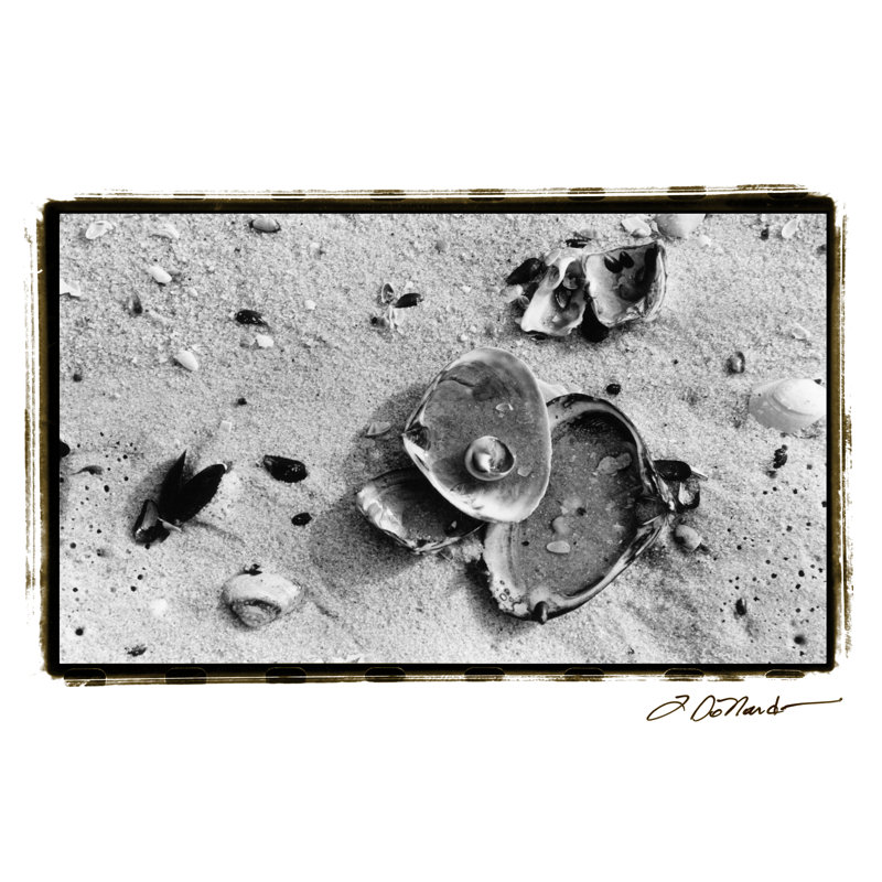 Sand Treasures III by Laura DeNardo - Wrapped Canvas Print, 20cm H x 30cm W x 3.8cm D