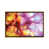Gold Frame n'est pas disponible