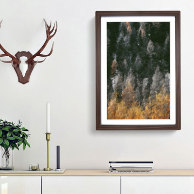 A Forest In Italy - Single Picture Frame Painting