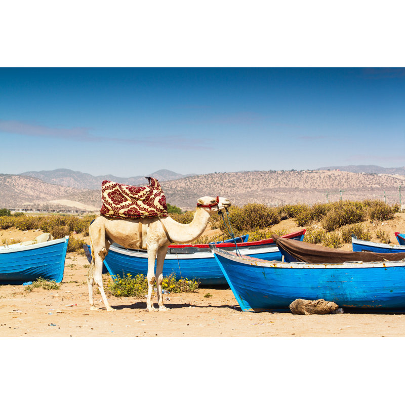 Hiatt Camel by MarissBalodis - Wrapped Canvas Print, 20 cm H x 30 cm W x 3.8 cm D