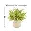 Ferdinand Heather en pot-28784519