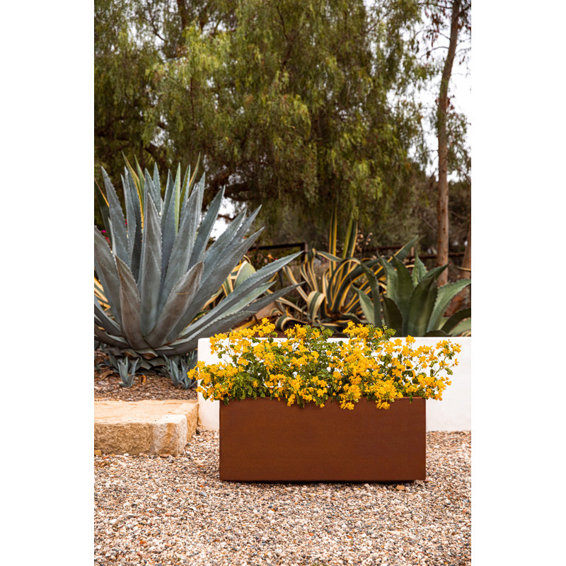 Corten Steel Series Long Box Planter, 16.25" H x 38" W x 15" D