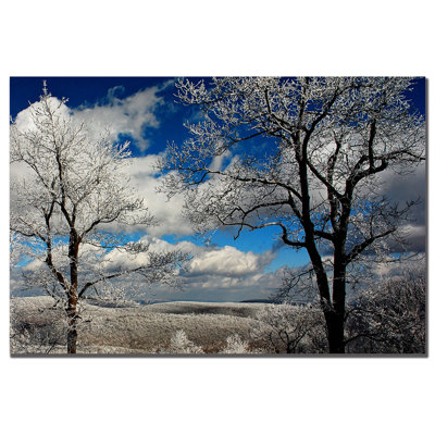" Mountain View " by Lois Bryan