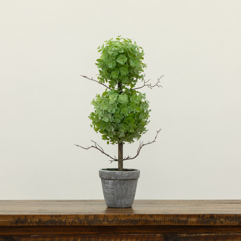 Topiaire d'eucalyptus artificiel en pot, H 24 po x l 6 po x P 6 po
