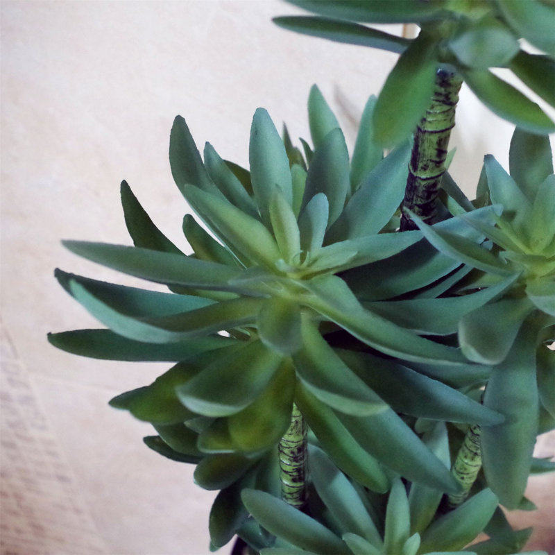 60cm Faux Yucca Plant in Planter