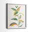 Touched with Sage I-Premium, reproduction encadrée - prête à être accrochée - aucun clou requis - aucun clou requis-680558189-680558177