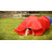 Midlee Plastic Agility Training Equipment with Carrying Case