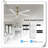 Museau 1 - Light Brushed Nickel LED Pendant-361278040