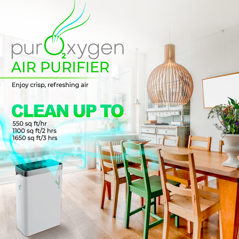 PUROXYGEN White HEPA Air Purifier with WiFi Control