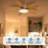 42" 5 - Blade Flush Mount Low Profile Small Room Ceiling Fan with Adjustable RGB Light and Remote-1371265474
