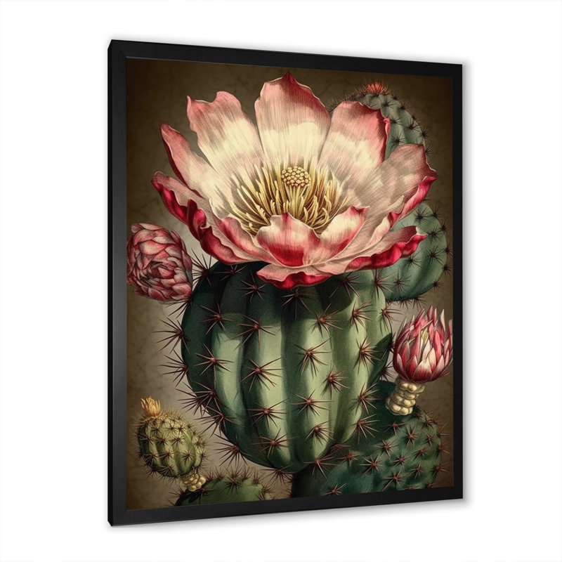 Fleur de cactus en fleur sur toile, Cadre simple noir, H 40 po x l 30 po x P 1,5 po