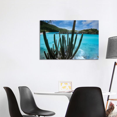 Cactus Growing Along Trunk Bay, Virgin Islands National Park, Virgin Islands by Tim Fitzharris - Wrapped Canvas Print