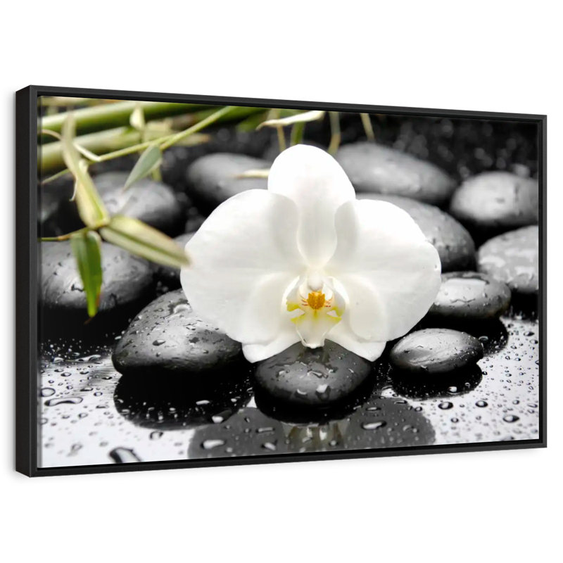 Orchidée blanche, Cadre flottant noir, 43 po x 29 po