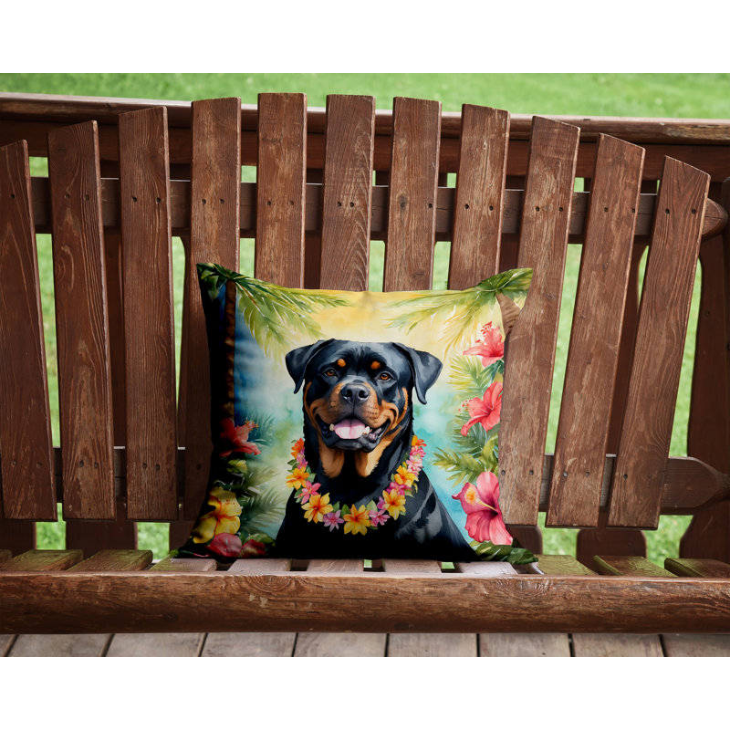 Coussin décoratif intérieur / extérieur Autre / Sans motif, H 14 po x l 14 po