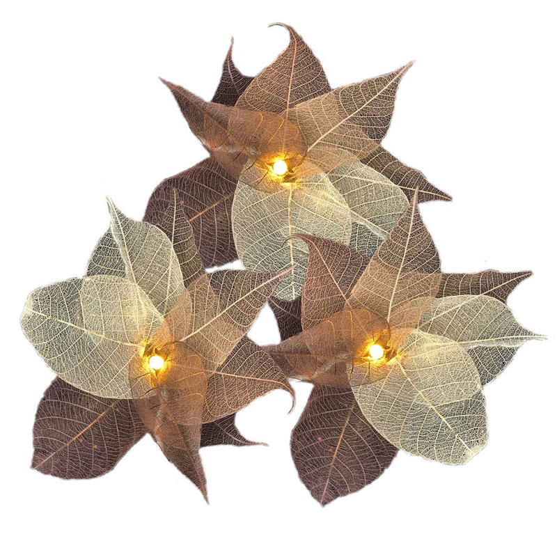 Bartok LED Natural Leaf String Light, 20 Lamps - 5 Metre Long