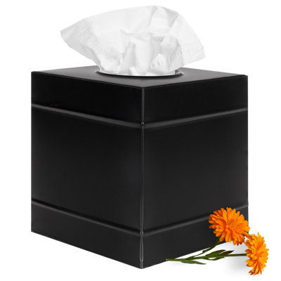 Aylanna Matte Black Metal Tissue Box Cover