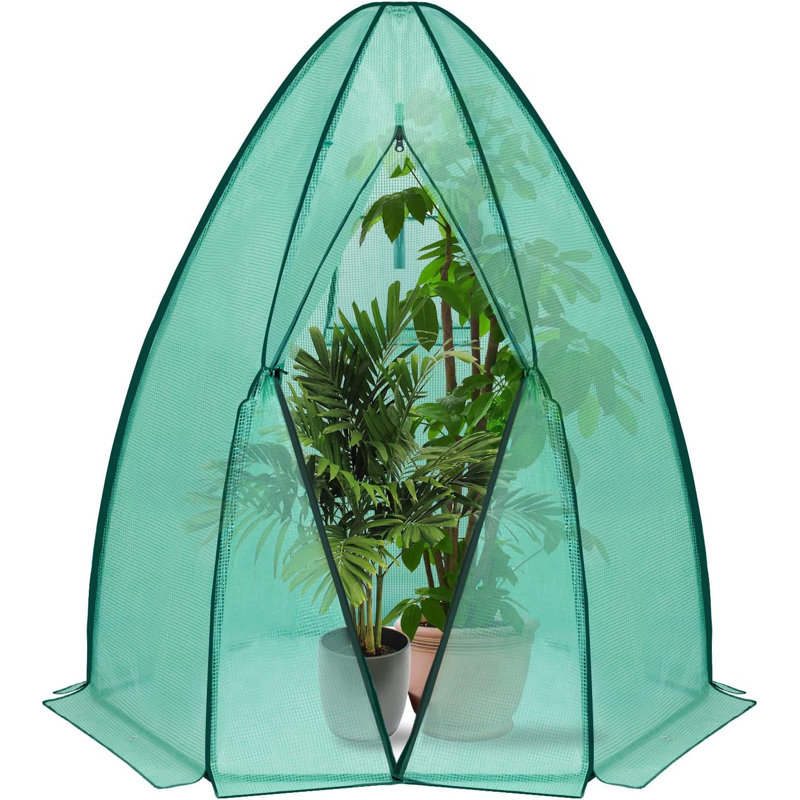 Kamuran 5 Ft W x 5 Ft D Mini Greenhouse, Green
