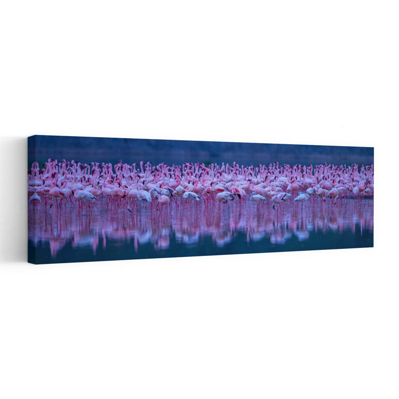 Pink Flamingo Reflections by David Hua - Wrapped Canvas Panoramic Print, 91.44 cm H x 30.48 cm W
