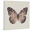 « rose et noir papillon ii »-impression sur toile-146873853