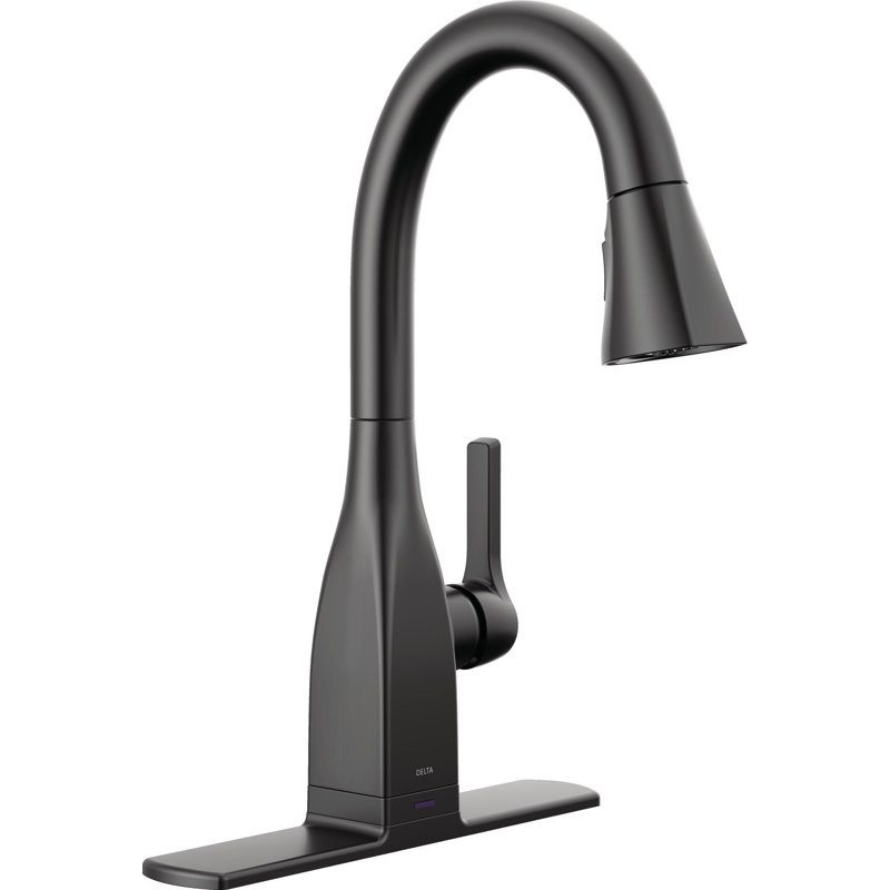 Mateo™ Pull Down Bar Faucet with Accessories, Matte Black