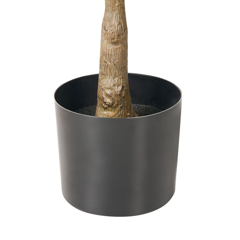 150cm Faux Ginko Tree in Pot
