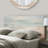 Kayonna Upholstered Panel Headboard-1871230752