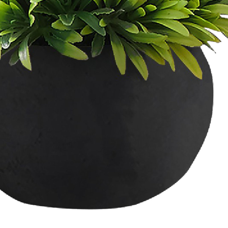 Ensemble de 3 plantes d'intérieur pour plantes d'intérieur, vert luxuriant, 5 pouces